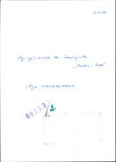 BERLIN OLYMPIA REVIEW LENINGRAD DLYNOPERUE TERIGUALER MUSIC HALL WARDASHEWA - Vintage Photograph