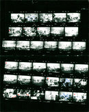 1983 SCMAGDEBURG ROSELMASCH ROSTOW SCM ROSTELM FRENCH GALINA FILM - Vintage Photograph