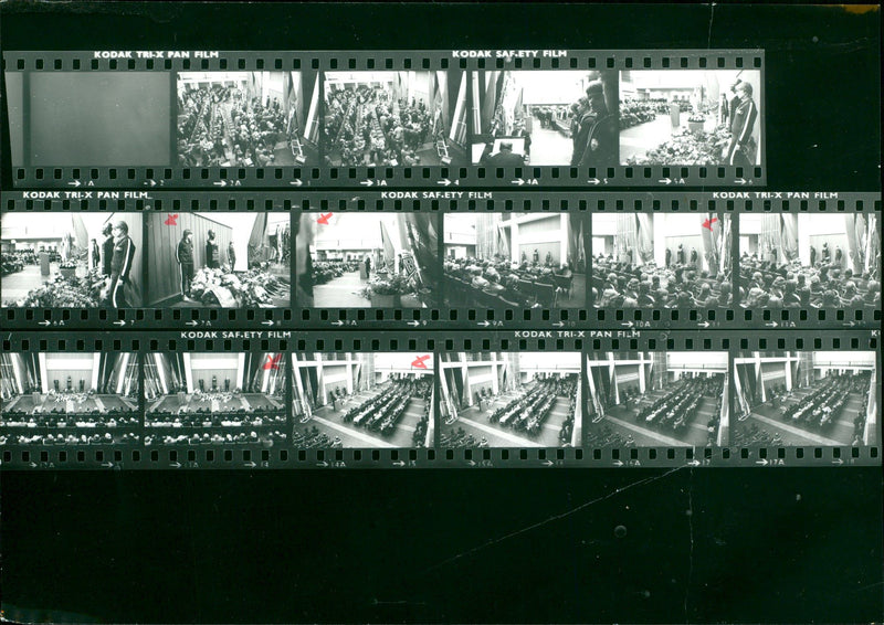 1978 KODAK TRI PAN FILM SAFETY CODAKETY CODAK FILS - Vintage Photograph