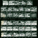 1981 WISMAR KRUGER REG FISCHER MAGDEBURG OBERLIGA FRAUEN FILM - Vintage Photograph