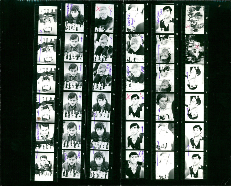 ESTIVAL EBERHARD FILM NUMBER LPURIAH DOG SCHAUCHFESTIVAL SEL BERLIN PARSON - Vintage Photograph