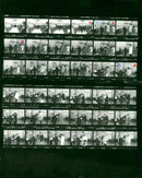 1982 ISRAT AWARD CEREMONY AND RECEPTION TOOK PLACE FILM PETER - Vintage Photograph