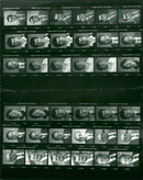 1982 DTSB FEDERAL EXECUTIVE KODAK SAFETY FILM DAK KODAKSAFETY - Vintage Photograph