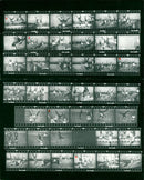 TOURNAMENT DYN HALL NEWEST LONG BRIEFPER HELLMUTH STEFANOWSKY FILM - Vintage Photograph