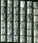 BUKLA PRAG MAGDEBURG KODAK SAFETY FILM TRI PAN REG SATRAPA CON - Vintage Photograph