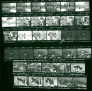 1981 CIRCULAR FERIE LAGER BIN BELLIA LABER MUNOLE HOFF WRCHE SPARKASSE FILM - Vintage Photograph