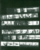 BIATHLON OWO SCD FILM MICHAEL LOHSCHMIDT RAIK - Vintage Photograph