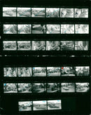 RUN DYN BOB ALTET GROUP MUSICIANS SWITZERLAND IRELAND GERMA - Vintage Photograph