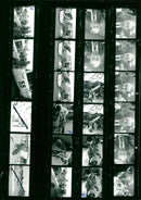 MUSICALES SCHLEIZES TRIANGLE NICOLAS LUXBY ANESTER FIA CAT PRIS GOLD - Vintage Photograph