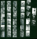 1973 MUSICALES SCHLEIZES TRIANGLE MOST POPULAR MUSICAL GENRES PETER - Vintage Photograph