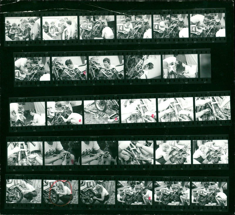 RENUEN CESILEUS HIEDECECICLE JOLECUUL VELIER HEM CISLINER ACEITE VEBRE - Vintage Photograph