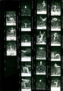 TURNS TUMEN BLANNER BRONST NIKOLA TLCATSCHEW DITJATI FILM - Vintage Photograph