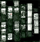 ESSER SPRINGS FILM HOHNE WATER JUMPING ART JUMPING LADIES EVERYTHING - Vintage Photograph