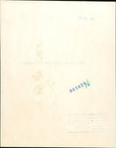 1970 CLASSES BERUN TURNING ANIMALS INTERNAL WEIGHT CLASS TOURNAMENT AURICH - Vintage Photograph