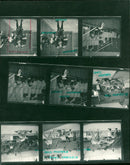 1970 CLASSES BERUN TURNING ANIMALS INTERNAL WEIGHT CLASS TOURNAMENT AURICH - Vintage Photograph