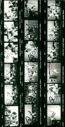 NOSANCH KODAK SAFETY FILM ISA ESTY ELRAM EMEEYV EHMERXXII NOSANCHYR - Vintage Photograph