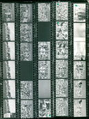 LEICHTATHLETIC PRELUDE BUSES FILM - Vintage Photograph