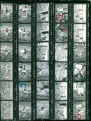 LEICHTATHLETIC KODAK TRI PAN FILM SAFET - Vintage Photograph