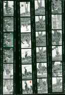 BIATHLON KODAK SAFETY FILM MOST POPULAR FIL - Vintage Photograph