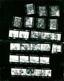 BASKETBALL WOMEN YUGOSLAVIA CALF EXAMM OLANTIOW THEERLE PISTOL FROMM FILM - Vintage Photograph