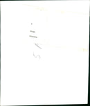 SCHIEBEN KODAK SAFETY FILM VEI CIE VII VOI EOS WALRUS - Vintage Photograph