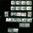 KODAK SAFETY FILM KODVK VEEL ALBUS VOOX ALBA - Vintage Photograph