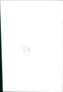 KODAK SAFETY FILM - Vintage Photograph