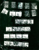 FROMM BASKETBALL WOMEN YUGOSLAVIA CUBA TRIPOSITION BERND HARTSTEI FILM - Vintage Photograph