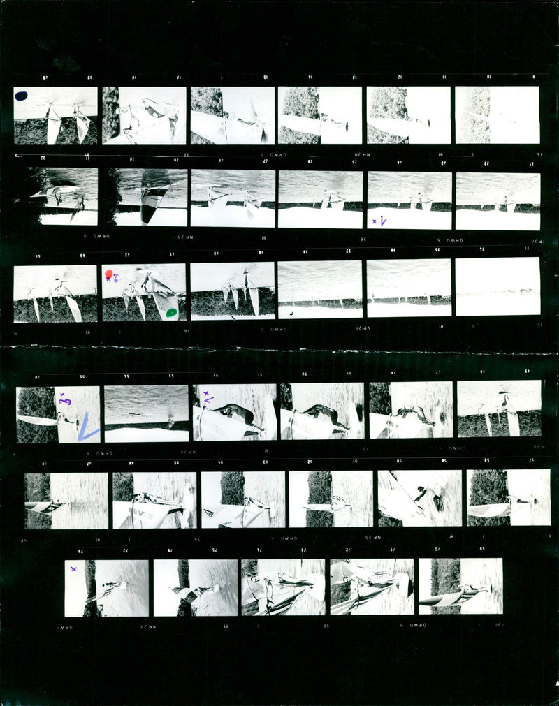 SPRING LAKECAPRA JUMPSCE POL FRANK GOLD SPEL PLACE FILM NUMBER IBERBE - Vintage Photograph