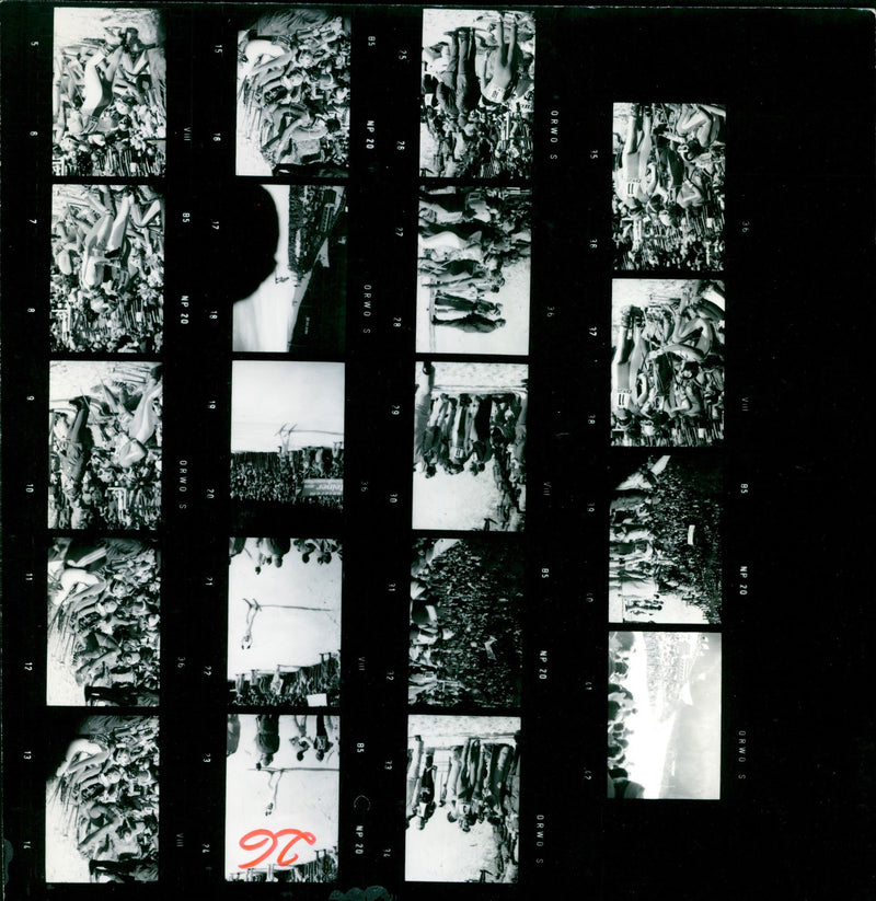 1976 SPECIAL SPRINGS OLYMPIC WINTER GAMES FILM ELSTRECKE PADDOCK - Vintage Photograph