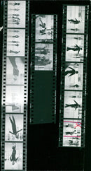 1980 CAUF ISSUES WINTER OLYMPICS WERE HELD BERLIN GERMANY OPENING FILM - Vintage Photograph