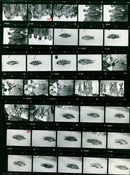 SPECIAL SPRINGS FILM ITA PAUL HILDGARTNER WALTER PLAIKNER MANFRED MICHAEL - Vintage Photograph