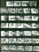 SPECIAL SPRINGS LOODUOY SONG LENZ SULT AND SABAS PADA GNING OPPST FILM - Vintage Photograph