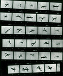 EISKUNST FILM SEZGO VOLKOV VASER OHN CURRY VLADIMIR KOWAL HOCKNELL JOHN - Vintage Photograph