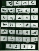 EISKUNST HILARY GREEN GLYN WATTS MATHILDE CICCIA JAMES FILM - Vintage Photograph