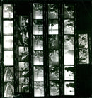 KODAK SAFETY FILM KODAKSAFETY KOD BIA - Vintage Photograph