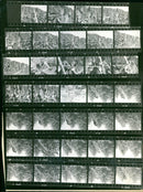 SPECIAL SPRINGS HANS SCHMID TADEUSZ PAVLUSIAK WALT JAMES FILM - Vintage Photograph