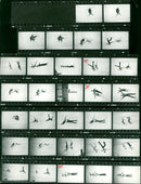 FILM BASED BOOK SAME SHOT BERLIN - Vintage Photograph