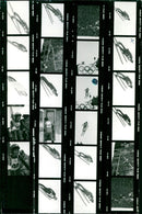 PRINCE SPECIFIC KODAK SAFETY FILM - Vintage Photograph