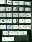 EISKUNST FILM RELEASED GERMANY DIRECTE - Vintage Photograph