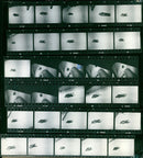 CHTEN WOMEN FILM OSWALA HALLER OSM ALFRED LECHLEITNER OSR FRANZ - Vintage Photograph