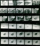 MANS RENEWABLES FILM HANS RINN STEFAN HOLZLWIMMER BRD PAUL PETER - Vintage Photograph