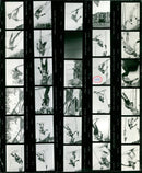 ALPIN IPIN SPECIAL SLALOM MEN STENMARK SCHW TRACK FILM - Vintage Photograph