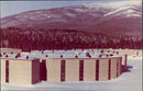 1979 COMPETITION TTEN LAKE PLACID LOCATED MIDDLE EXTENDED NATURE - Vintage Photograph