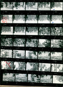 SPECIAL SPRINGS BARBARA PETZOLD SIGRUN KRAUSE MONIKA DEBERTSHA GALINA FILM - Vintage Photograph