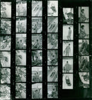 SPECIAL SPRINGS FILM NONIN MARGIT SCHUMANN DDR LAS EVE LLARIA WERNICKE - Vintage Photograph