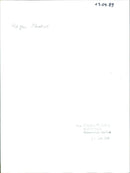 1989 APPRENTICESHIP STRONGEST APPRENTICE AND MOST ATHLETIC GIRL NUDE LOW MELZER - Vintage Photograph