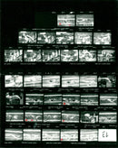 1981 SWEDES SWEDISH SWIMMING CHAMPIONSHIPS ASK TREIST TRIF FILM - Vintage Photograph