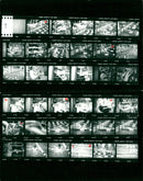 1981 IIA SWEDES GUIDELINES IIAJA FILM - Vintage Photograph