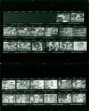 SWEDES SWEDISH FILM FESTIVAL LARGEST - Vintage Photograph